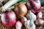 کاهش ریسک ابتلا به سرطان روده با مصرف سیر و پیاز