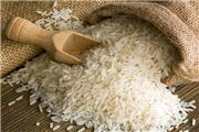 خسارت سیل به تولید برنج جدی نبوده است