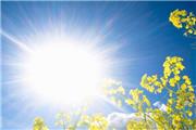نور خورشید با سندروم متابولیک مقابله می کند