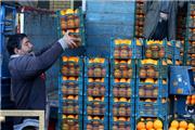 کرونا، مانع گرانی قیمت میوه شد/افزایش 40 درصدی قیمت پیاز
