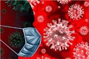 50 درصد مبتلایان کروناویروس جدید فاقد علامت هستند
