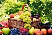 روند نزولی قیمت انواع میوه/ نرخ موز به ١٢.5 هزار تومان رسید