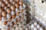 نظارت ناکافی علت گرانی تخم مرغ