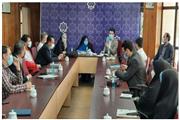 تشکیل اولین جلسه هماهنگی و سیاستگذاری برنامه های روز فرهنگی رباط کریم