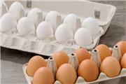 صادرات تخم مرغ متوقف است