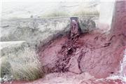 کلافگی شهروندان فینی