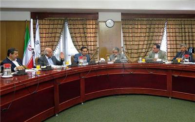 جوانگرایی در فرهنگستان زبان و ادب فارسی