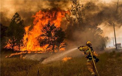 کاهش 24 درصدی حوادث آتش سوزی در شهر شهریار