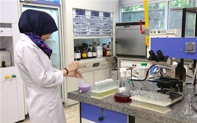 محدودیت مالی در پژوهش