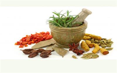 غذاهایی که باعث تقویت سیستم ایمنی بدن می شود/ دوری از اضطراب