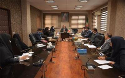 ستاد پژوهش و فناوری در شهرستان رباط کریم آغاز به کار کرد