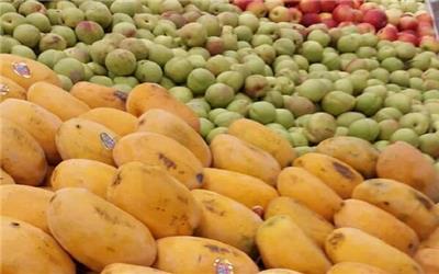 قیمت انواع میوه های پاییزی در میادین میوه و تره بار اعلام شد