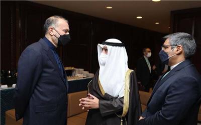 امیرعبداللهیان:ایران آماده برگزاری کمیته‌های کنسولی و مرزی با کویت است