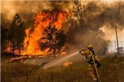 کاهش 24 درصدی حوادث آتش سوزی در شهر شهریار