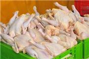 آغاز توزیع مرغ منجمد با قیمت مصوب
