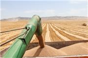 هوشمندسازی کشاورزی در دستور کار وزارت جهاد قرار دارد