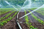 فناوری نانو مشکل آبیاری را در کشاورزی حل کرد