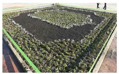 اجرای نخستین طرح کاشت فرش گل در بوستان فدک شهر پرند