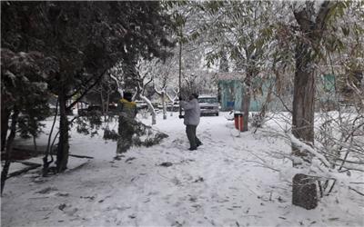 عملیات پاکسازی و برف روبی بوستانها و فضای سبز شهر اندیشه در دست اقدام