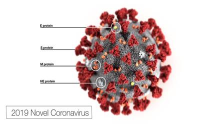 آغاز آزمایشات استفاده از سلول‌های بندناف برای درمان مبتلایان کروناویروس