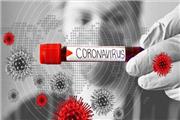 دانشمندان روسی ژنوم ویروس کرونا را کشف کردند