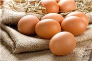 مصرف 3 تا 6 تخم مرغ در هفته ریسک بیماری قلبی عروقی را کاهش می دهد