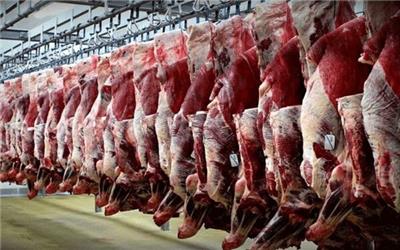 تولید گوشت قرمز دو درصد افزایش یافت