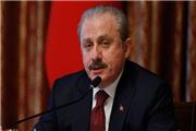 رئیس مجلس ترکیه: ترور دانشمند ایرانی یک اقدام تروریستی بود