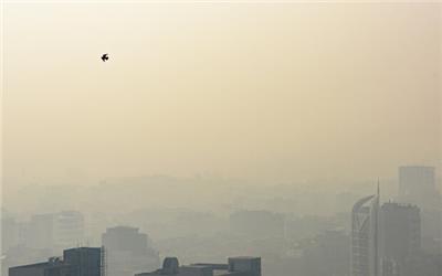 برای رفع آلودگی هوا از محققان کمک نمی‌گیرند