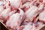 قیمت مرغ کاهش نیافت/تداوم مشکل تخصیص نهاده به کارخانه‌های خوراک