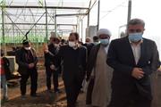 تهران ازجایگاه ویژه ای در تولید محصولات گلخانه ای برخوردار است