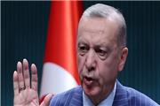 اردوغان : با پوتین و زلنسکی درباره کریدور صادرات غلات گفت وگو می کنم