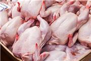 عرضه گوشت مرغ گرم از طریق سامانه ستکاوا در استان تهران آغاز شد