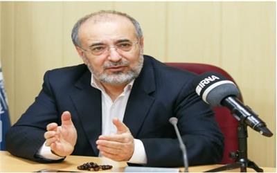 مدیرعامل صندوق توسعه ملی: سرمایه‌گذاری ایرانیان خارج از کشور در ایران تضمین می‌شود
