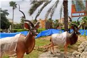 باغ وحش مصنوعی حیوانات آفریقایی در بندرعباس افتتاح شد