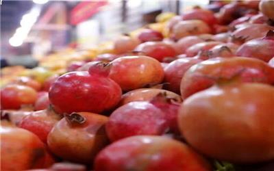 میوه شب عید حداقل 30 درصد ارزان تر از بازار